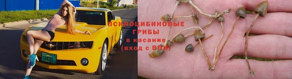 соль курить ск Абинск