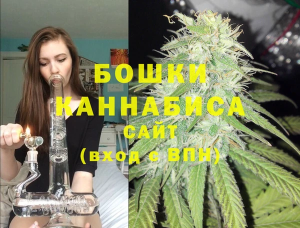 эйфоретик Пересвет